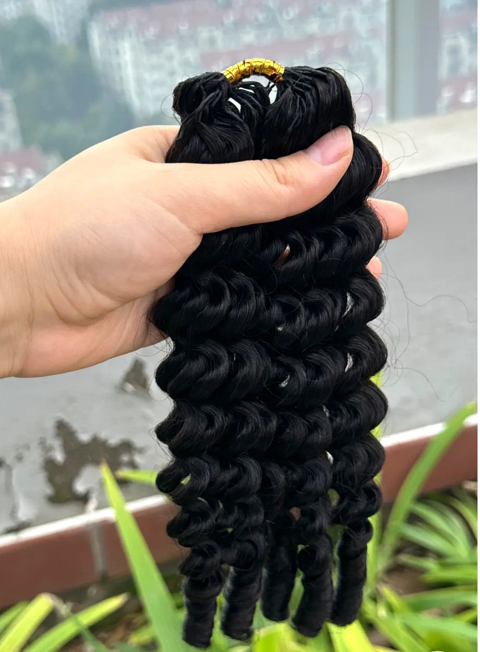 Burmese Curls